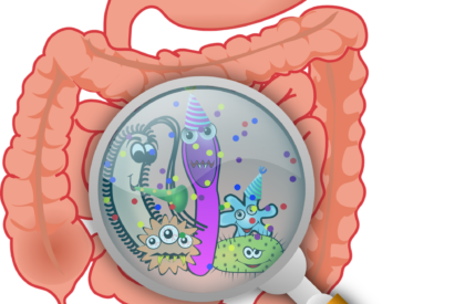 microbiomul